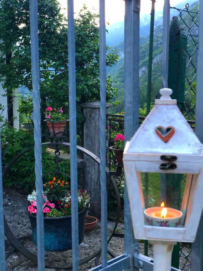 Le Castagne Matte Bed and Breakfast Stenico Buitenkant foto